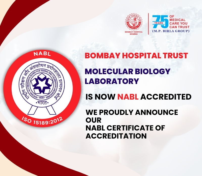 Mobile Slide Image 8